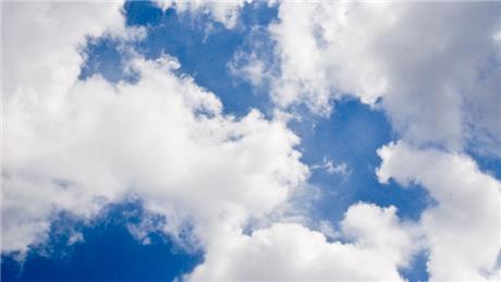 Banner Picture